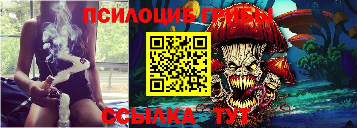 Спасск-Дальний  Галлюциногенные грибы Psilocybine cubensis  Вход с VPN 